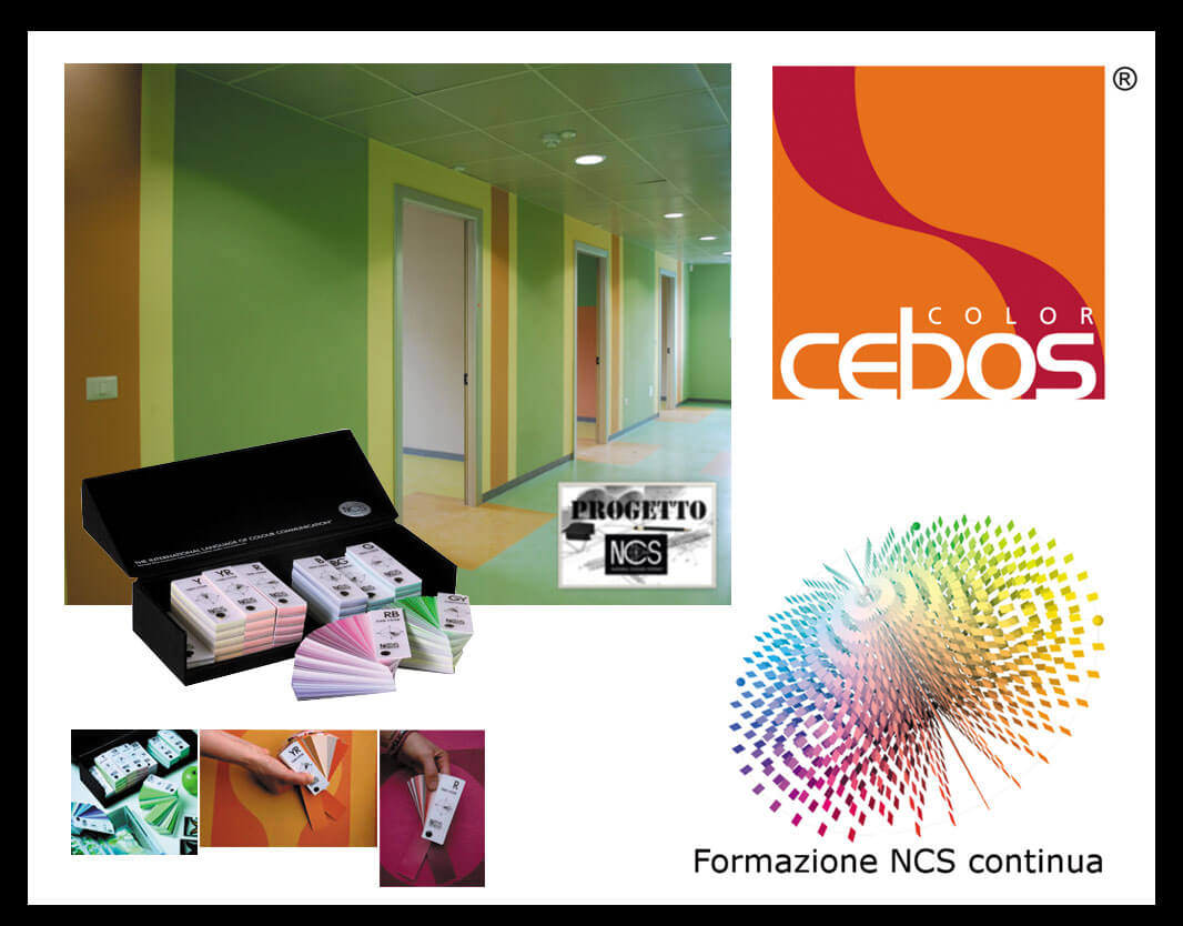 Cebos Color в клубе NCS